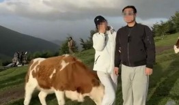 配牛视频在线观看