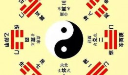 网红明星吃瓜八卦图,揭秘娱乐圈幕后真相